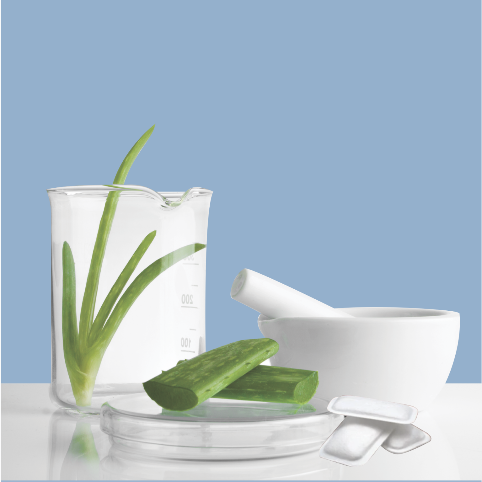 About – Boshi
